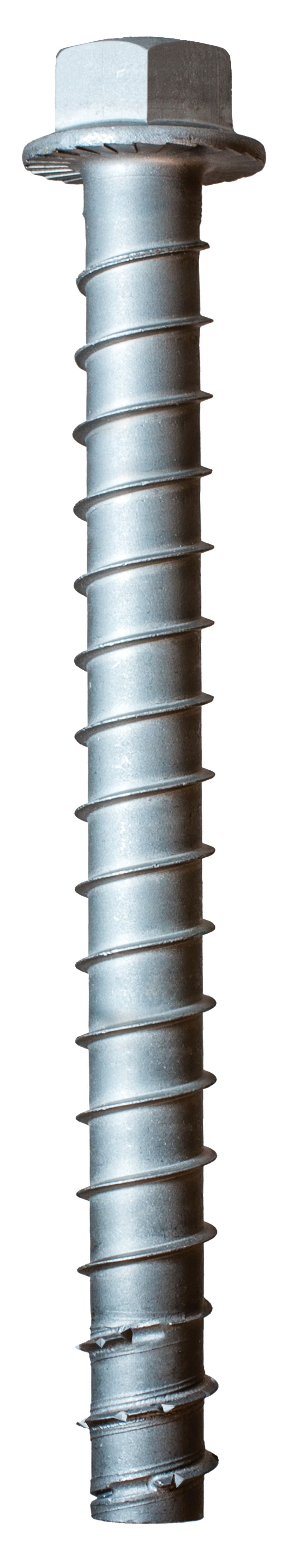5/8"x6" GALV SCREW BOLT