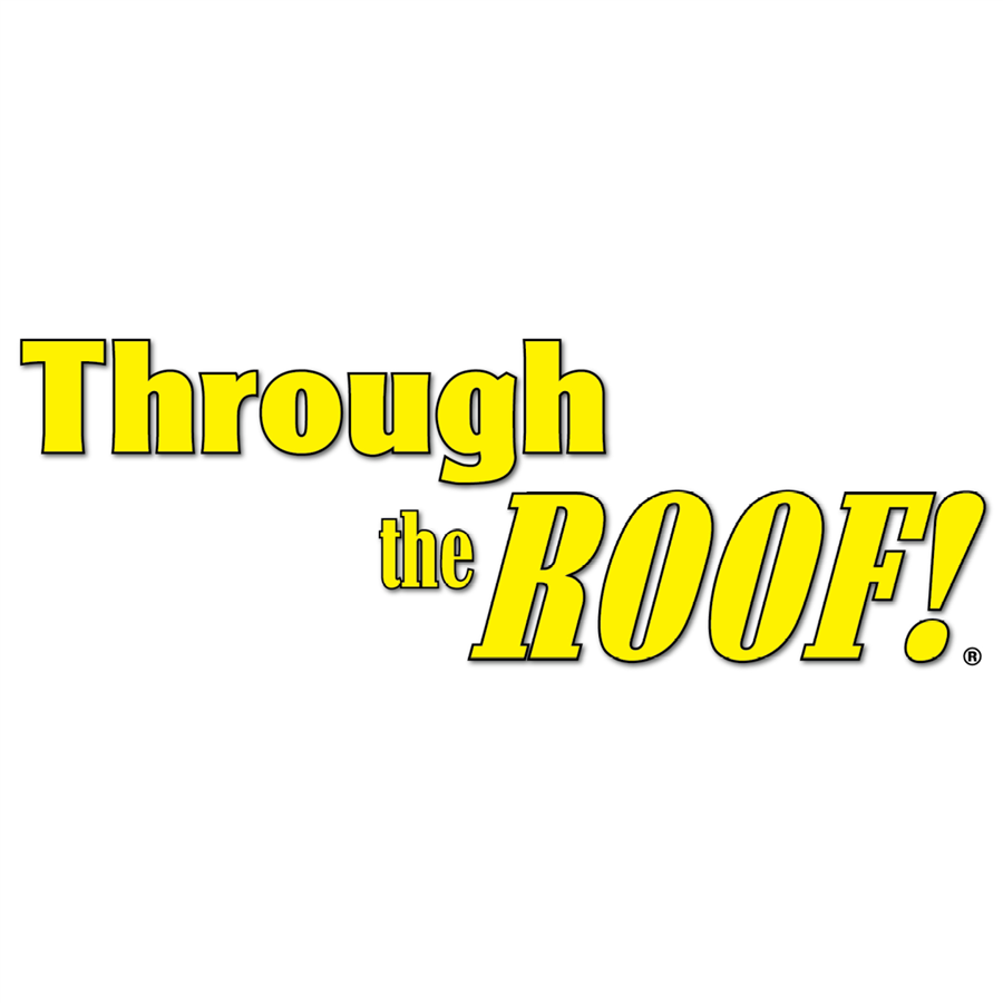 Sashco Through The Roof 10.5oz Clear Paintable Caulk