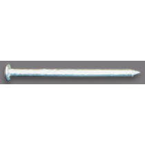 Pro-Fit 1-3/4 in. Electro Galvanized Roofing Nails - 30LB