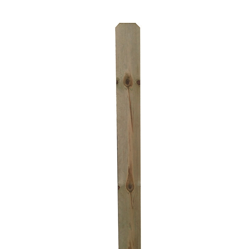 6 in. x 6 ft. Pine Dog-Ear Pressure Treated Fence Picket